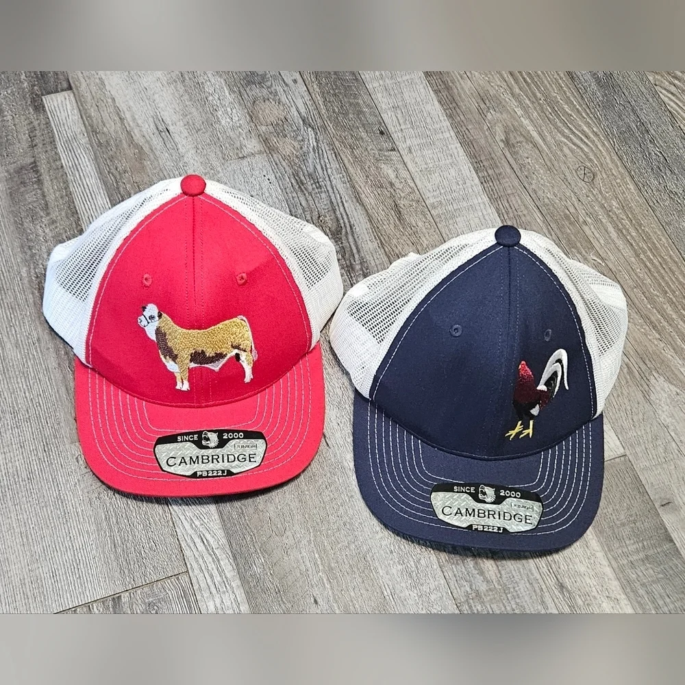 💙🩵Boys Mesh Hats Red And Blue, Bull And Rooster Embroidery🩵💙‎